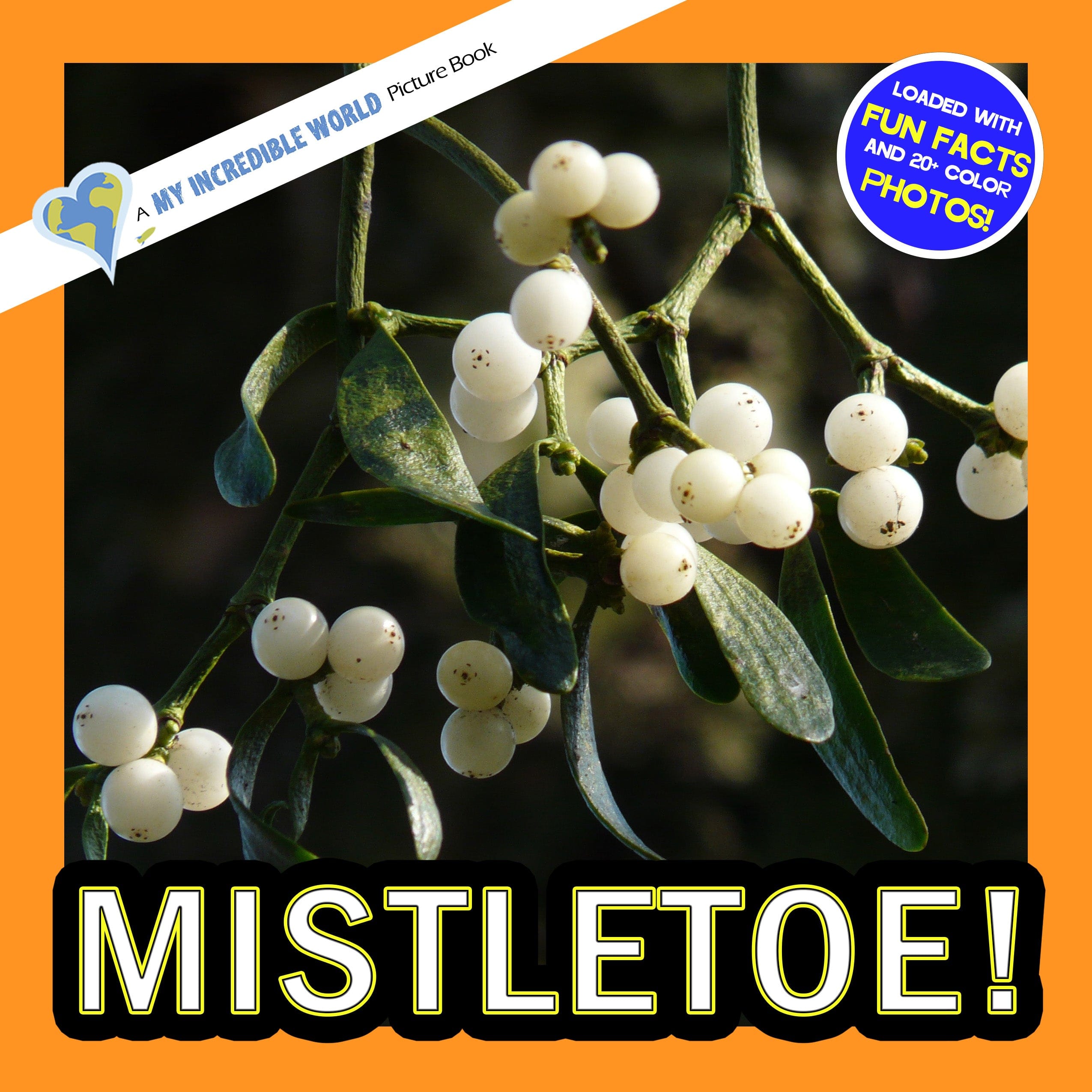 Mistletoe! A My Incredible World Picture Book for Children